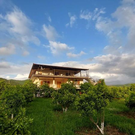 Guest House Xhaferaj Berat Luaran gambar